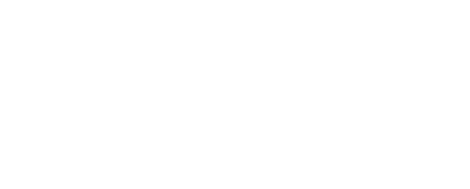 Business Commandos